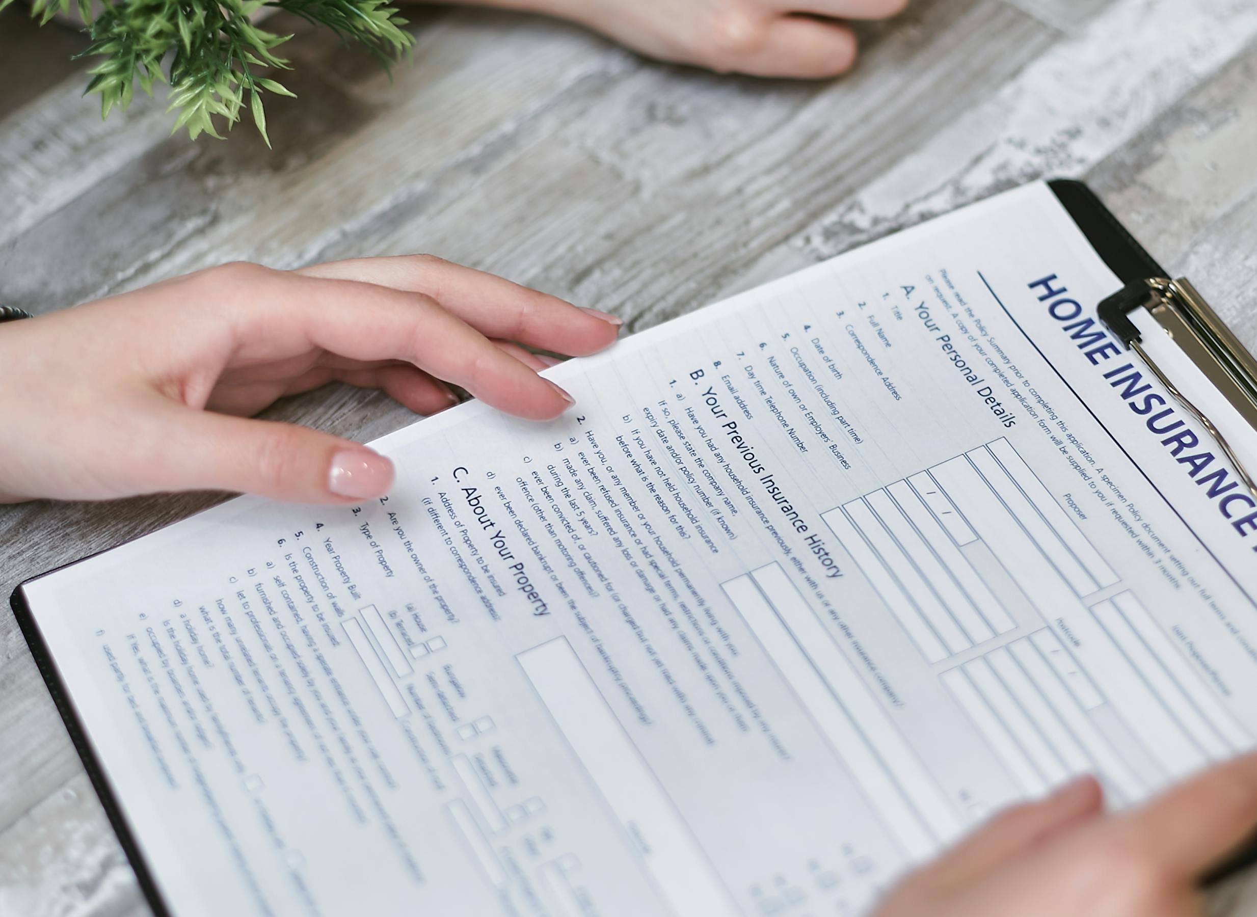 Licensed movers and caregiver support on move day